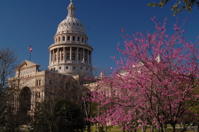Texas State Capitol, Austin